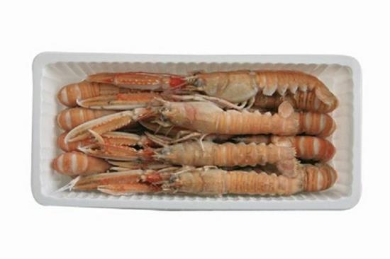 SCAMPI 13/16 NORDIC NL. 700GR C. nephrops norvegicus