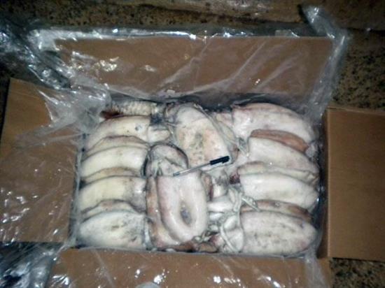 SEPPIE GHANA 800/1000 PULITA CIUFFO SPOR.IQF P.NETTO 12KG