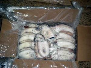 SEPPIE GHANA 800/1000 PULITA CIUFFO SPOR.IQF P.NETTO 12KG