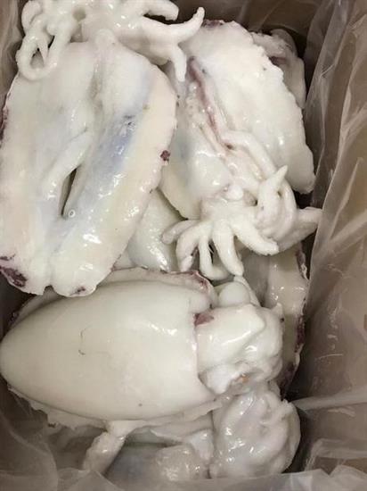 SEPPIE SENEGAL 600/800 PULITA BLOC.P.NETTO 2X5KG C.