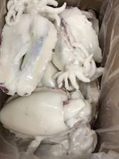 SEPPIE MAROCCO 400/600 PULITA IQF P.NETTO KG 6