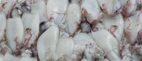 SEPPIE MAROCCO 200/400 PULITA IQF P.NETTO C.