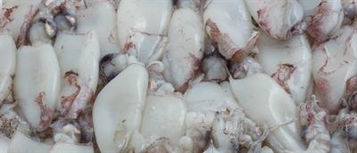 SEPPIE MAROCCO 200/400 PULITA IQF P.NETTO C.