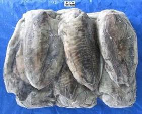 SEPPIE FRANCIA SPOR.500/1000 C. PESO NETTO