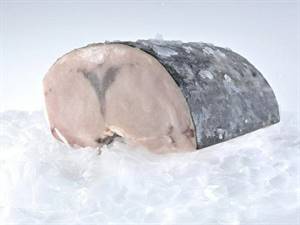 SPADA TRANCE EXTRA SURG. 250/300 GR 20%GL  8 KG