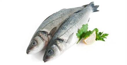 SPIGOLA 300/400 IQF(NOS)CONG.