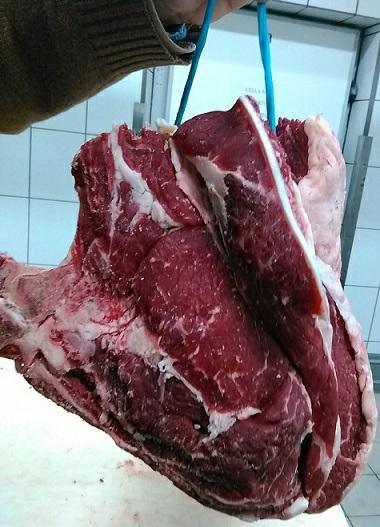 CARRE'VACCA HOLSTEIN PRIME 22+