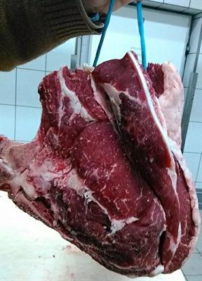 CARRE'VACCA HOLSTEIN PRIME 22+