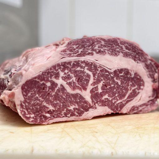 CUBEROLL USA CREEKSTONE PRIME B.ANGUS