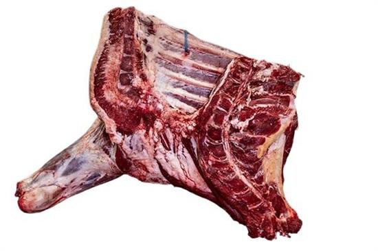 SPALLA B.ADULTO C/OSSO POLACCA (PIS)