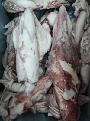 CALAMARO FRANCIA 300/500 IQF.C.P.NETTO MARGEL