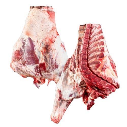 ANTERIORE C/OSSO B.ADULTO 6/C FR.(PIS)