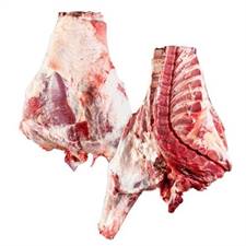 ANTERIORE C/OSSO B.ADULTO 6/C FR.(PIS)