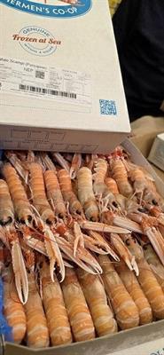 SCAMPI 16/20 SASHIMI IQF DK P.NETTO CF 3KG