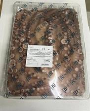 POLPO MAROCCO VASCHETTA T6(800/1200) SALGADO P.NETTO C.