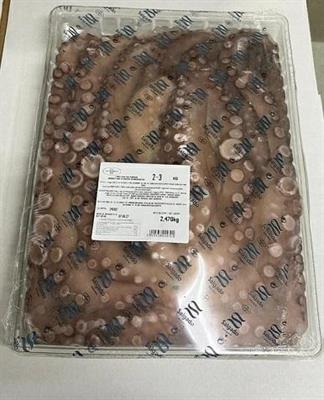 POLPO MAROCCO VASCHETTA T6(800/1200) SALGADO P.NETTO C.