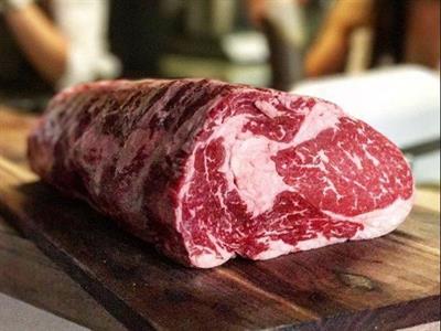 SCAMONE ARGENTINA GORINA 2,2+ FR.S/V (BERV)