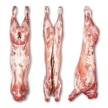 CODA VITELLO 5AB  OLANDA (EKRO)