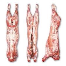 CODA VITELLO 5AB  OLANDA (EKRO)