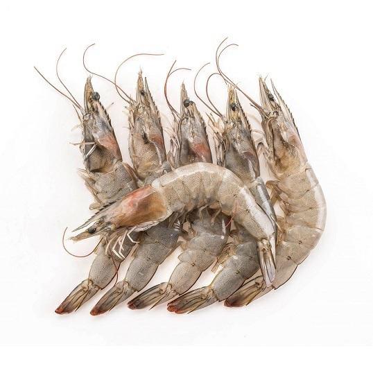 GAMBERI ECUADOR 0/7 30% C. 12KG