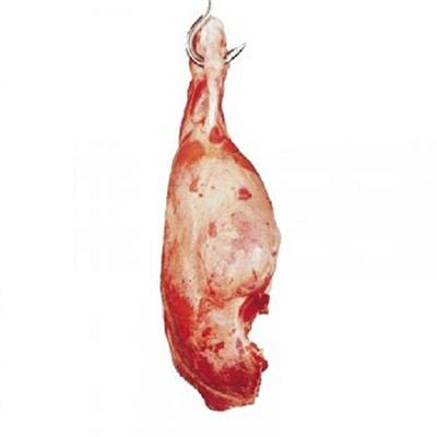 PERA BABY BEEF S/O LEGATA (EKRO)
