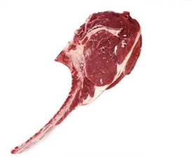 TOMAHAWK SCOTTONA OLANDA (HOG)