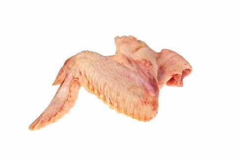 ALI DI POLLO BIANCHE FR.(ROY) 5023