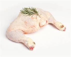 COSCE POLLO COPPIE BIANCO (ROY) 5001