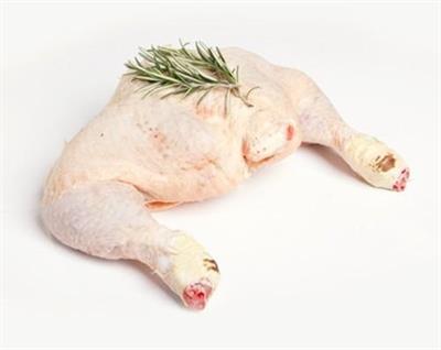 COSCE POLLO COPPIE BIANCO (ROY) 5001