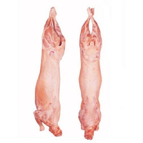 AGNELLO S/TESTA S/FRAT.8/13kg. (GES)