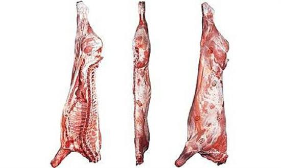 MEZZENA BABY BEEF R HOLLAND (FAM)