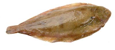 SOGLIOLA N.ZELANDA 250/325gr (B) IWP P.NETTO C. 1X10KG
