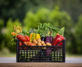 vegetali-surgelati-personalizzato