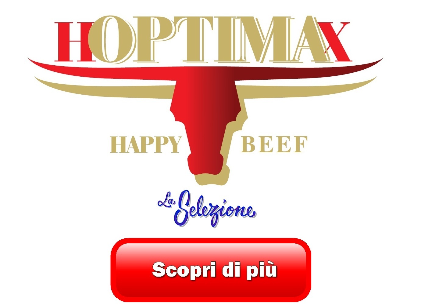 hoptimax